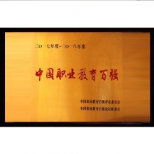 中國職業教育百強
